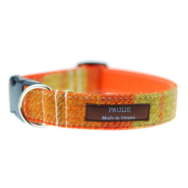 Hundehalsband von Paulis Hundeausstatter | Harris Tweet| gelb-orange