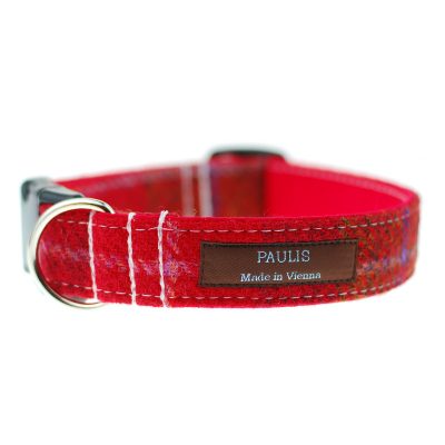 Hundehalsband von Paulis Hundeausstatter | Harris Tweet| rot