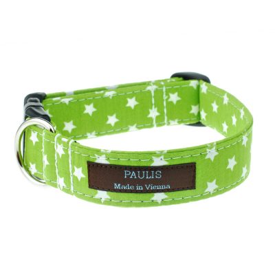 Hundehalsband von Paulis Hundeausstatter | Sternchenmuster | apfelgruen